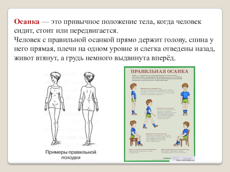 Положение стоящего тела человека. Осанка. Положение тела человека. Осанка человека. Привычное положение тела.