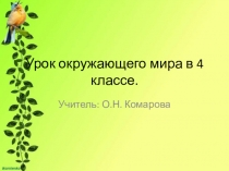 Презентация по окружающему миру на тему Лес (4 класс)