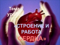 Презентация по билогии на тему Сердце
