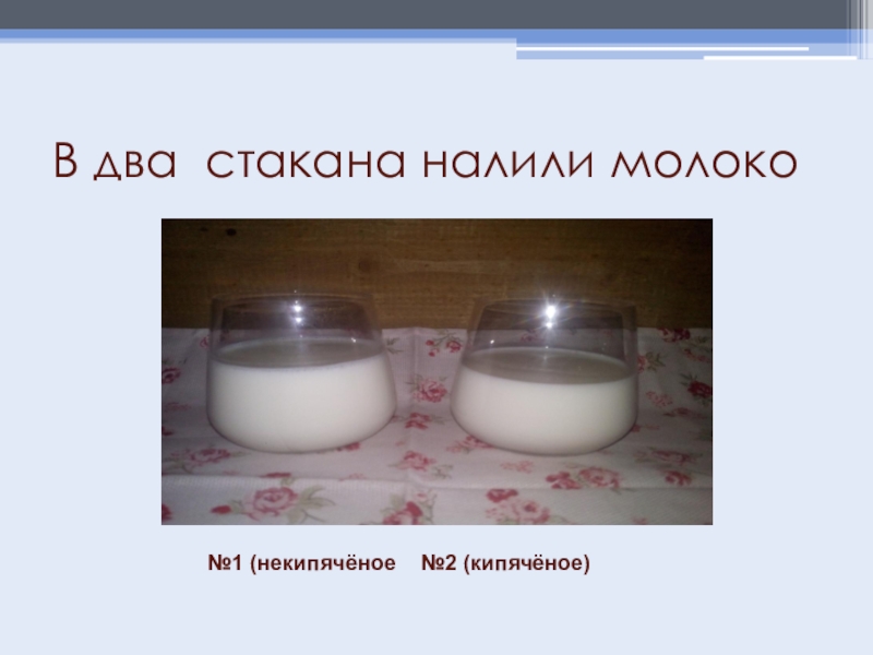 В три стакана налили. Некипяченое молоко. Два стакана молока опыт. Склянка с молоком. Молоко кипяченое в стакане.