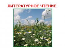 Презентация по литературному чтению С. А. Есенин  Черёмуха