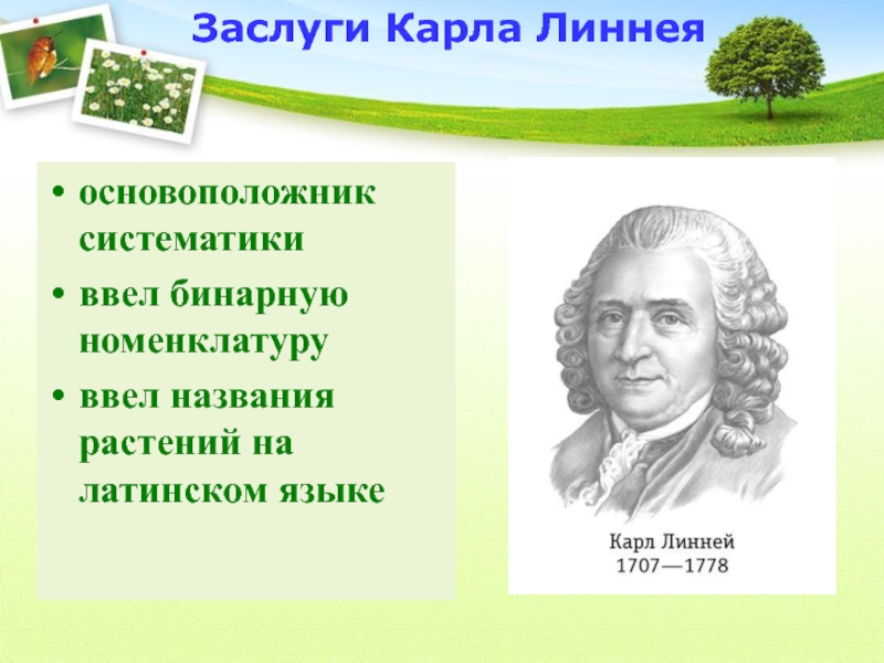 Систематика основоположник систематики. Карл Линней достижения. Карл Линней достижения в биологии. Карл Линней основоположник систематики. Карл Линней заслуги.