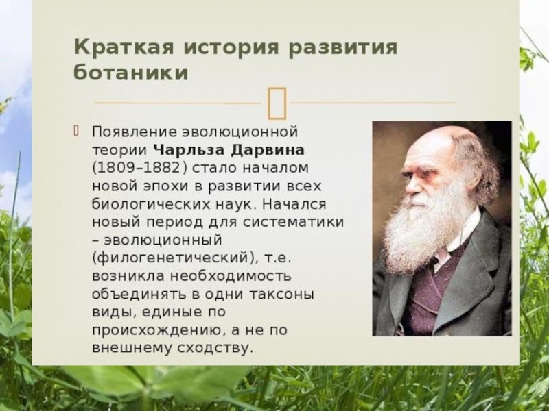 Что такое ботаника кратко. История развития ботаники. Краткая история развития ботаники кратко. Становление науки ботаники. Открытия в ботанике.