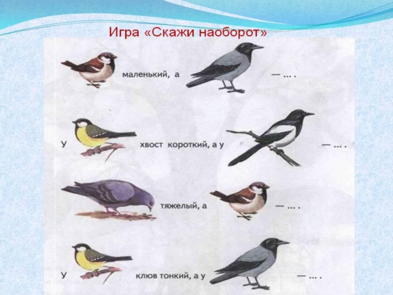 Конспект зимующие птицы. Логопедия зимующие птицы. Назови ласково перелетных птиц. Зимующие птицы развитие речи. Назови ласково зимующие птицы.