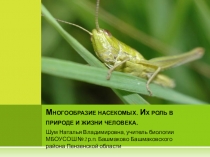 Презентация по биологии на тему:  Многообразие насекомых