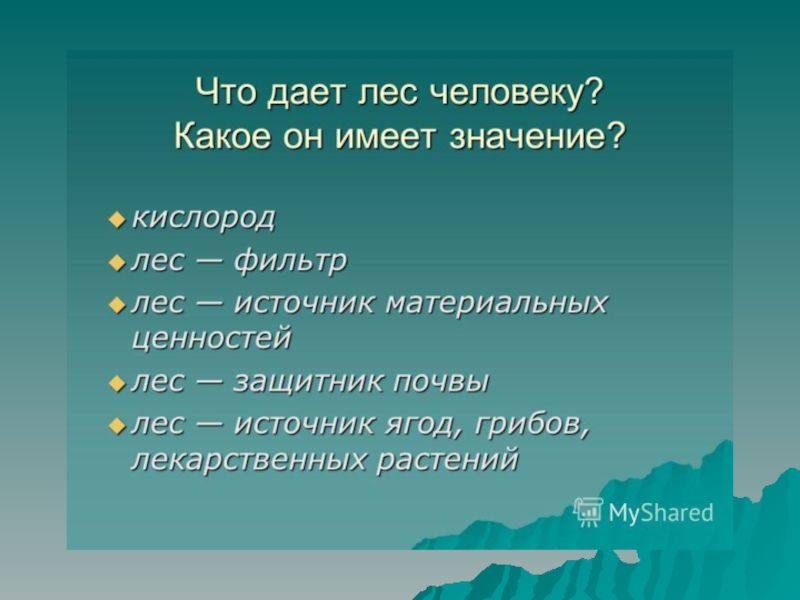 Лес 2 класс окружающий мир. Что дает лес человеку. Что дает лес человеку картинки. Что даёт лес доклад. Что дают человеку леса.