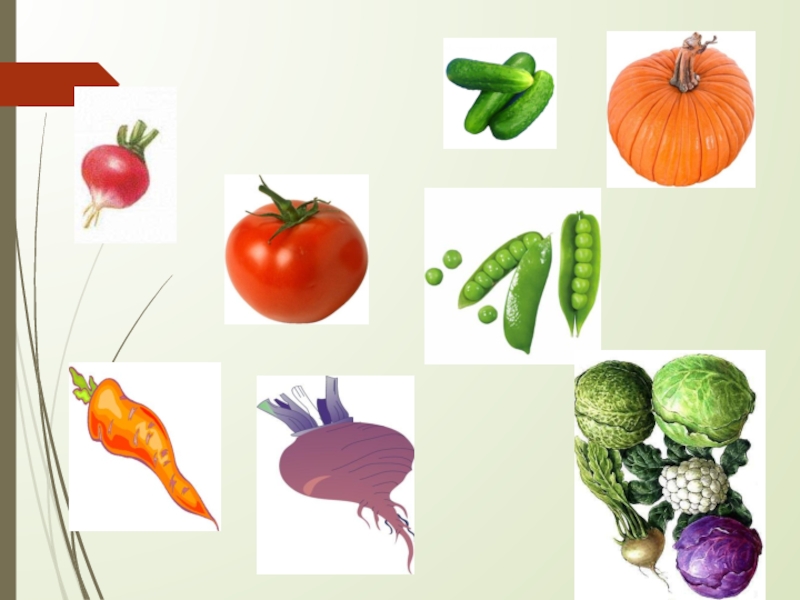 Обработка овощей тема. Обработанные овощи. Овощи 5 класс технология. Обработка овощей картинки. Тема: обработка овощей урок.