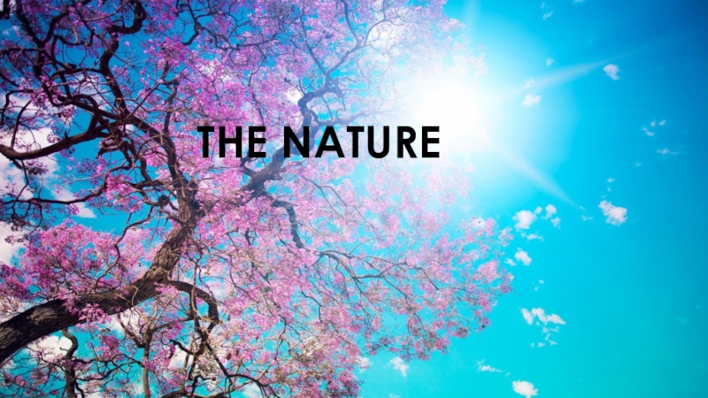 The nature (7 класс)