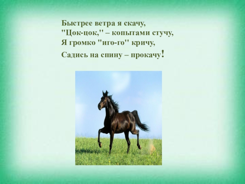 Цок цок у него появилась. Цок цок цок стучат копытца. Цок цок цок копытами. Быстрее ветра.