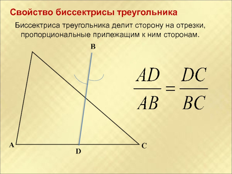 В каком соотношении биссектриса делит противолежащую сторону