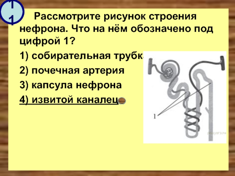 Рассмотрите рисунок что обозначено под указателями 1 7