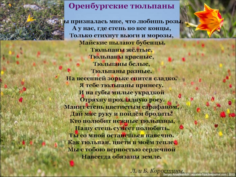 Песня оренбуржье