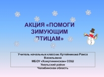 Презентация по программе внеурочной деятельности Юный эколог Зимующие птицы