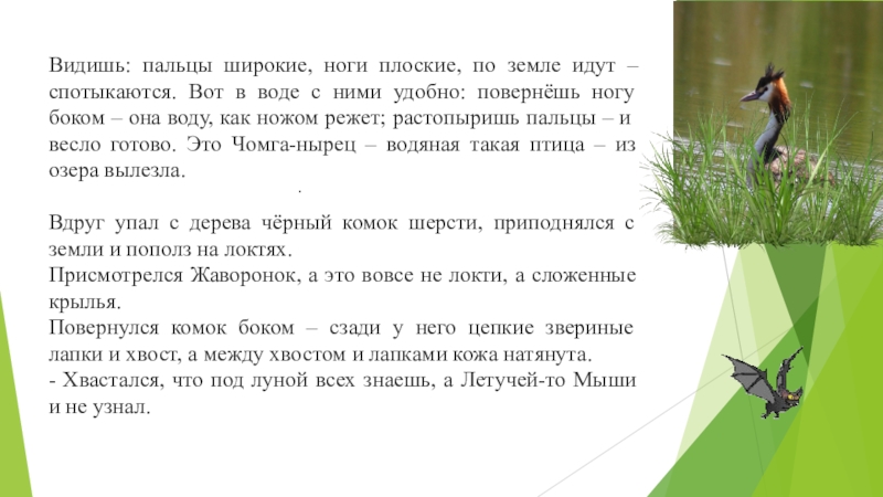 Видишь: пальцы широкие, ноги плоские, по земле идут – спотыкаются. Вот в воде с ними удобно: повернёшь