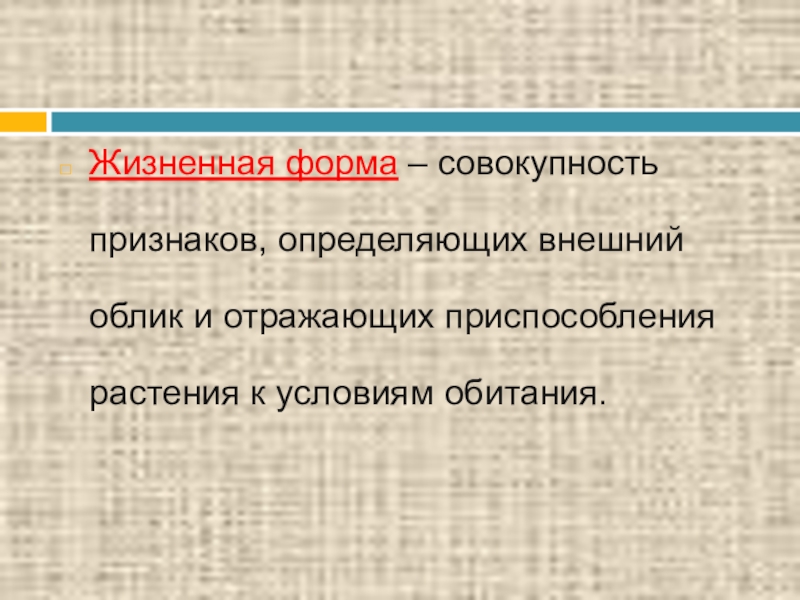 Совокупность форм твердой поверхности земли это