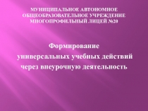 Формирование универсальных учебных действий через внеурочную деятельность