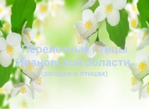 Перелетные птицы Ивановской области