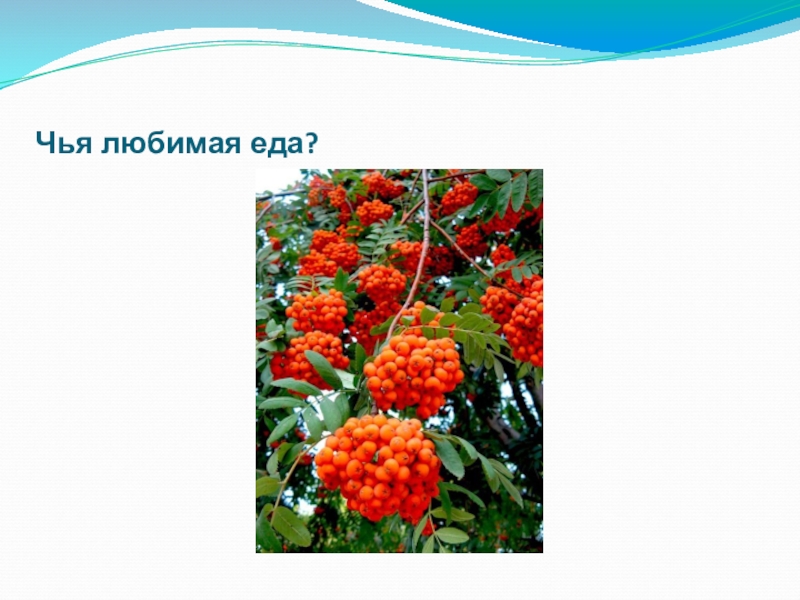 Тема одежда для дошкольников. Английский личные местоимения таблица. Чья класс. Чье. Имена и фамилии.