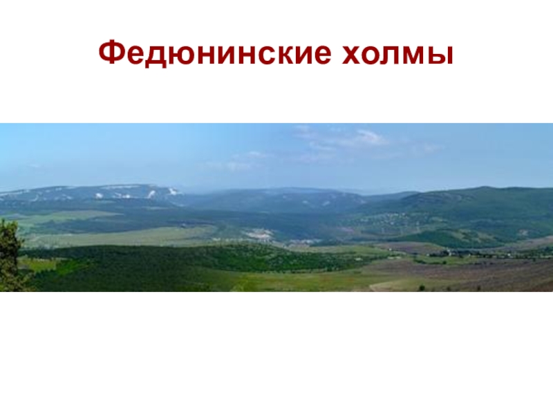 Холм тишины. Федюнинские холмы Севастополь. Федюнинские холмы фото. Федюнинские холмы маки. Холмы презентация.