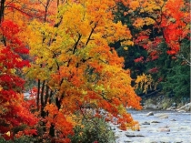 Презентация В гости к осени