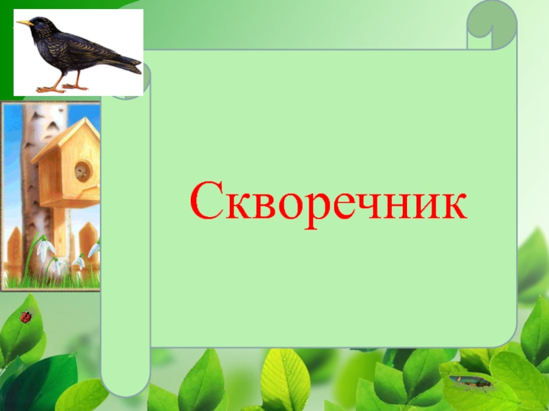 Реклама скворечника для проекта