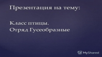 Презентация по биологии на тему: Класс Птиц. Гусеобразные. - 7 класс