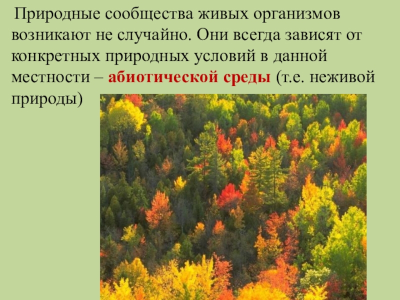 Презентация природные сообщества 6 класс