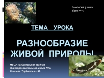 Презентация по биологии Разнообразие живой природы 5 класс