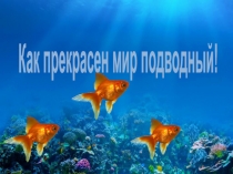 Презентация классного часа по теме Как прекрасен мир подводный