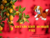 Презентация Китайский Новый год
