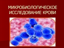 Презентация по биологии Бактериемия и сепсис