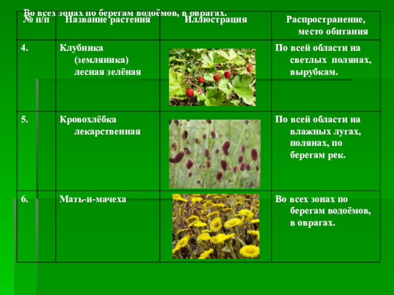 Окружающий мир 4 класс план. Природное сообщество луг по плану. План природного сообщества луг. Природное сообщество луг 4 класс. План природное сообщество Луга.