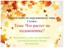 Презентация Что растет на подоконнике?