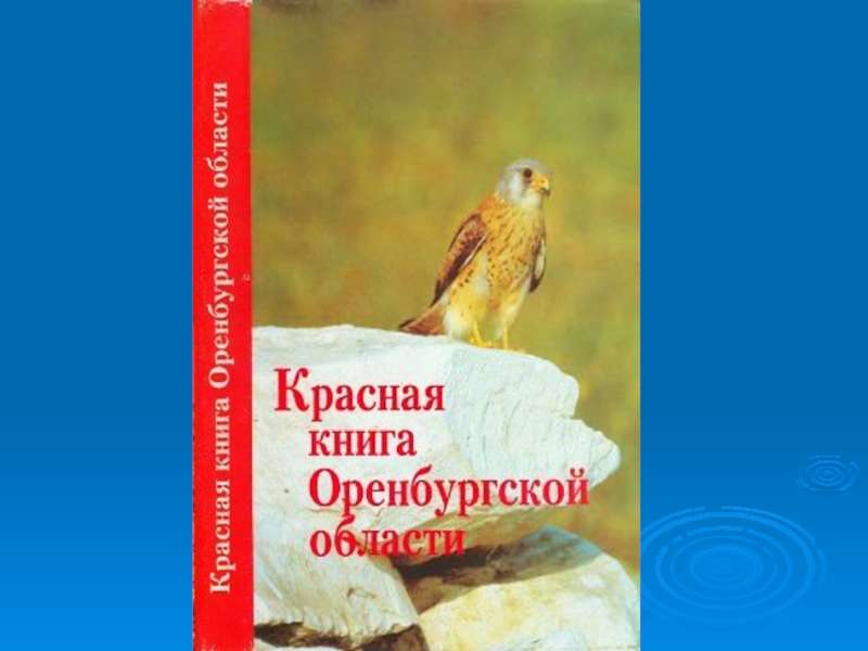 Проект по окружающему миру 4 класс красная книга оренбургской области