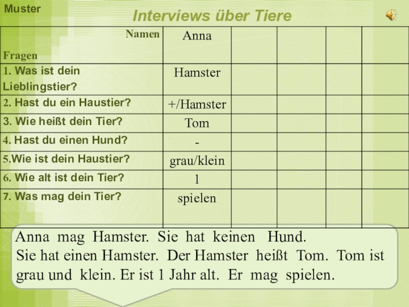 Interviews über Tiere Anna mag Hamster. Sie hat keinen  Hund.  Sie