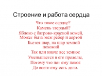 Презентация по теме: Строение и работа сердца.