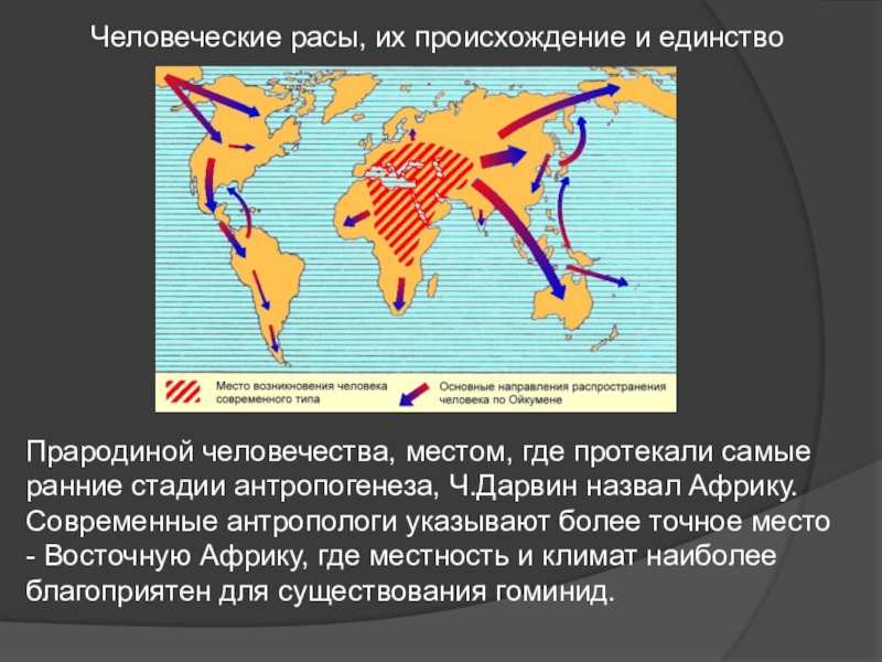 Карта происхождение человека