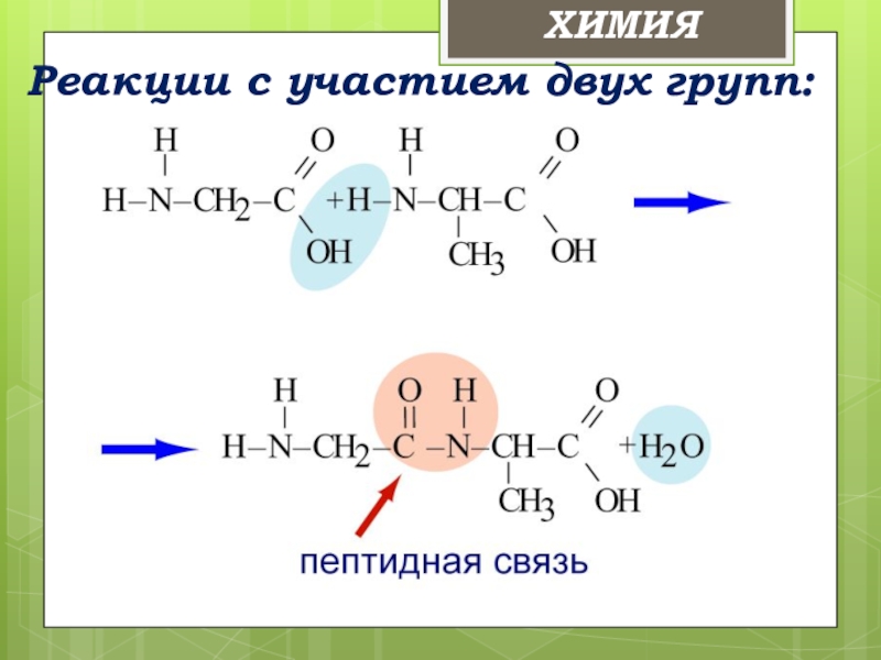 Презентация по химии аминокислоты