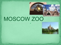 Презентация по английскому языку на тему Московский зоопарк