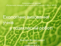 Презентация  Экологическое воспитание школьников