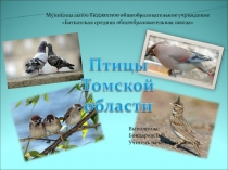 Презентация по внеурочной проектно - исследовательской деятельности на тему Птицы Томской Области (4 класс)