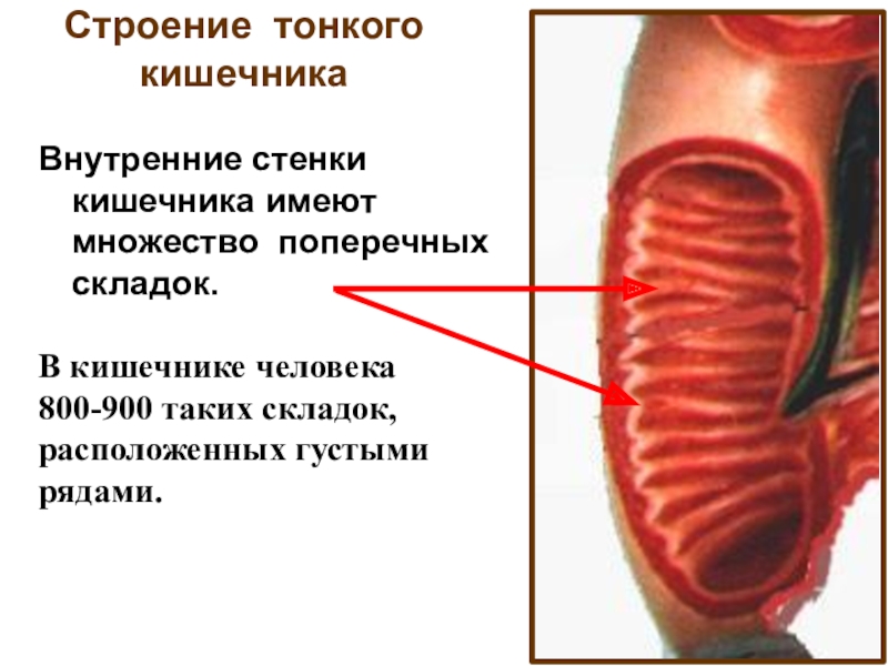 22 строение