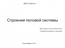Презентация по биологии на тему  Строение половой системы ( 8 класс)