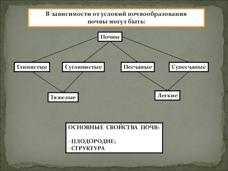 Условия почвообразования. Почва особое природное тело 8 класс география. От чего зависят процессы почвообразования. Факторы почвообразования схема.