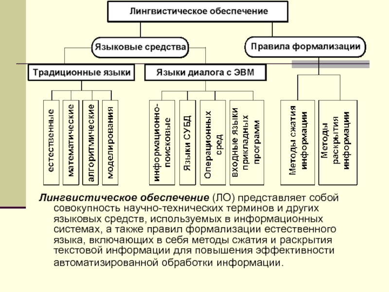 Лингвистическое обеспечение ИС. Лингвистическое программное обеспечение. Информационно-лингвистическое обеспечение. Лингвистические средства информационных систем.