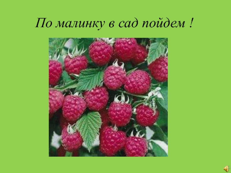 По малину в сад. По малинку в сад. По малинку в сад пойдём детская. Песня по малину в сад.