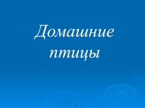 Презентация по биологии Домашние птицы 7 класс