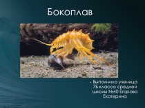 Бокоплавы (7 класс)