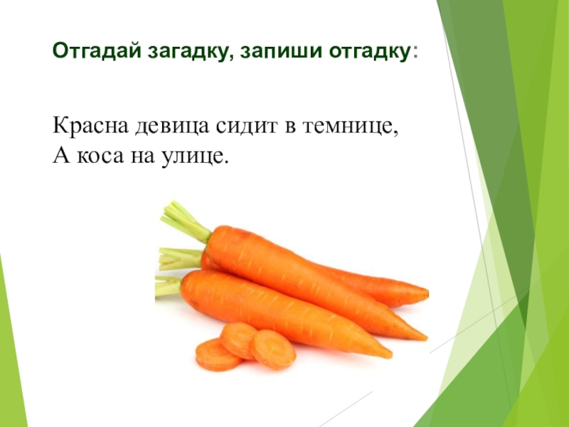 Отгадай загадку красная. Сидит в темнице а коса на улице загадка. Отгадка на загадку красная девица сидит в темнице а коса на улице. Загадка девица в темнице а коса. Загадка сидит девица в темнице.