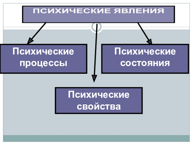 К психическим процессам относится выберите ответ. К психическим процессам относятся.